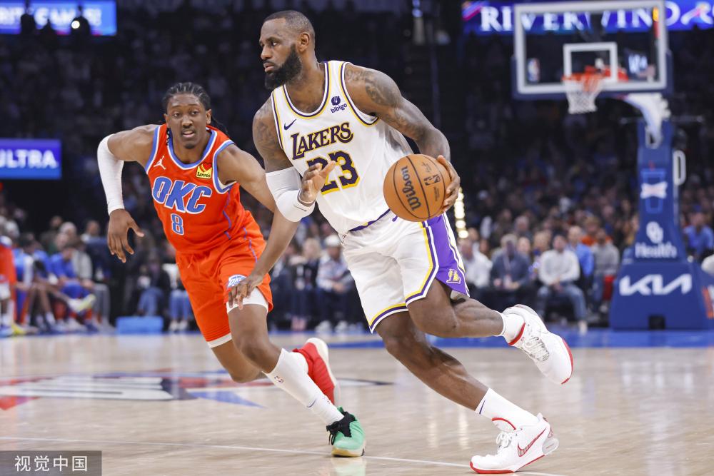 将其收入囊 将其收入囊