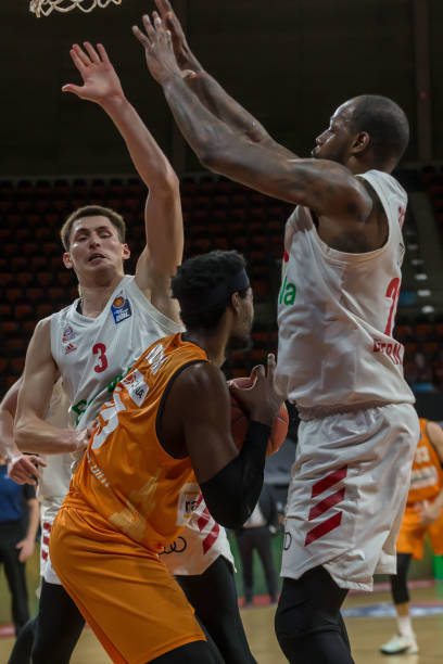 位为标准动 位为标准动